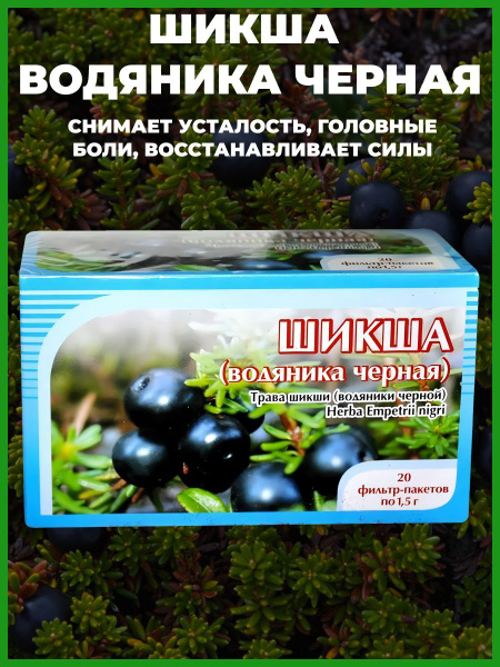 Black Crowberry Herbal Tea (20 filter bags) - Horst