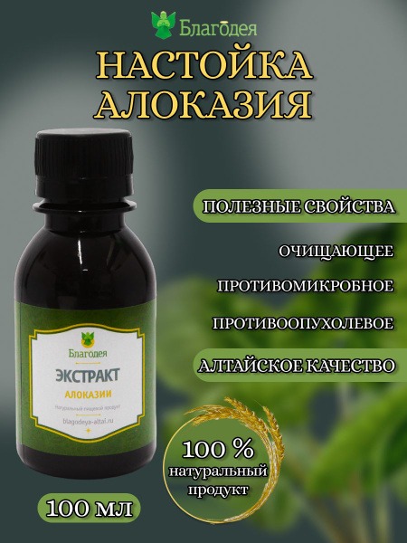Alocasia Tincture "Altai Blessing" - 100ml