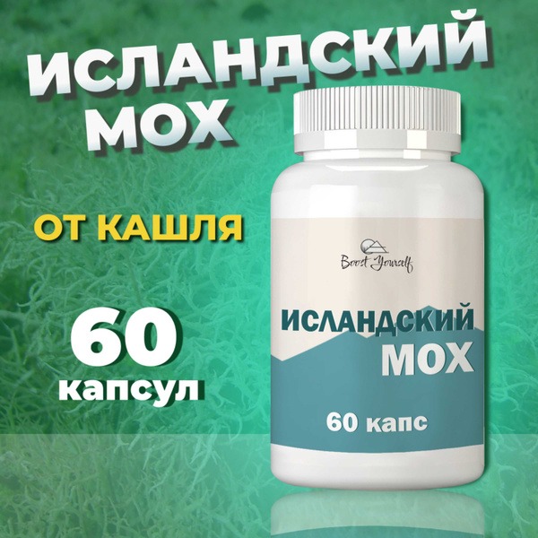 Icelandic Moss Capsules for Cough Relief: Cetraria Islandica for Immune Support & Respiratory Health