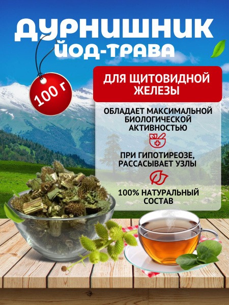 Altai Herbs for Hypothyroidism &amp; Thyroid Inflammation: Burdock Root Benefits