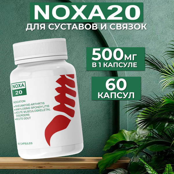 NOXA 20 Joint Supplement