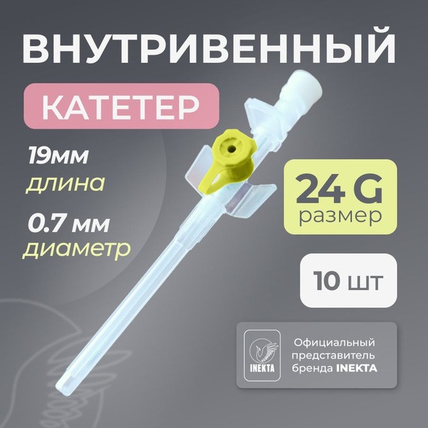 24G IV Catheters (10 Pack)