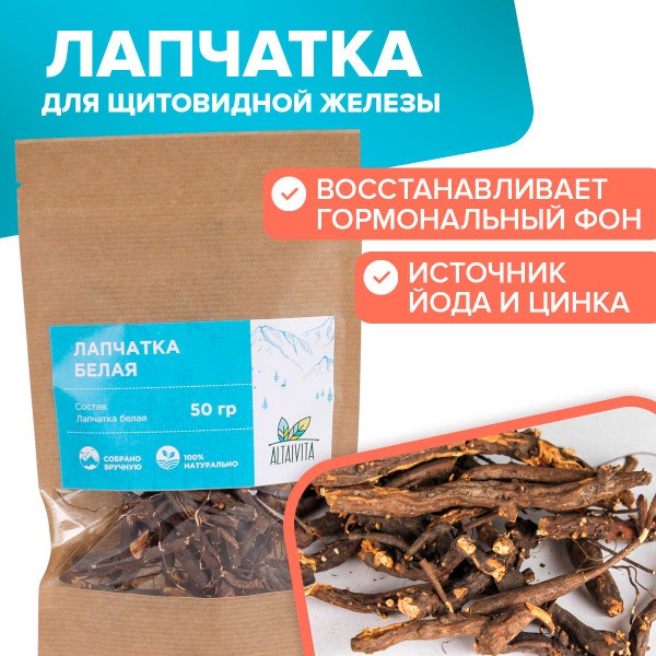 White Potentilla Root (50g) - AltayVita