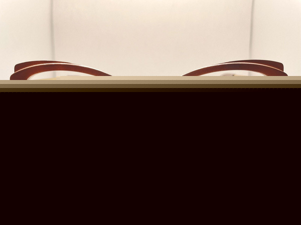 Sarmiento Eyeglass Frames