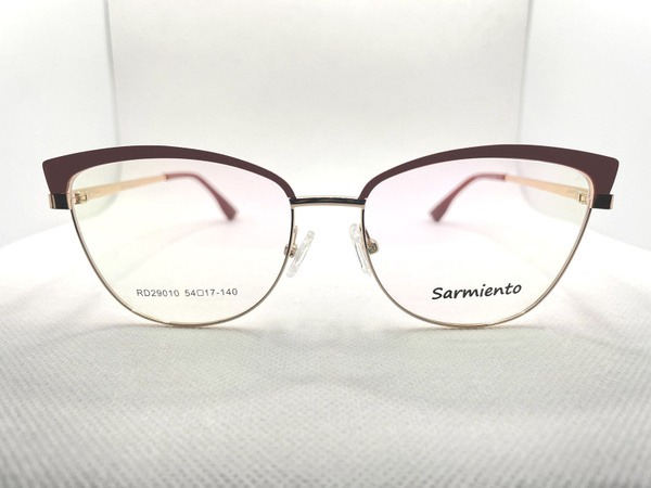 Sarmiento Eyeglass Frames
