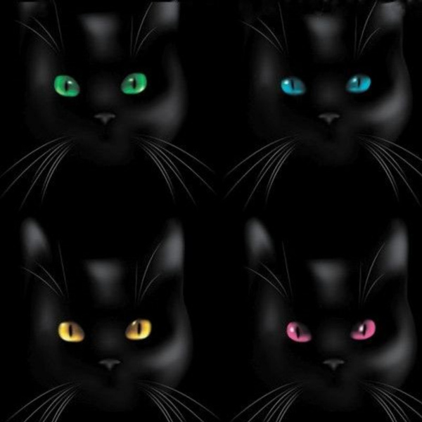 Microfiber Eyeglass Cleaning Cloth with Print