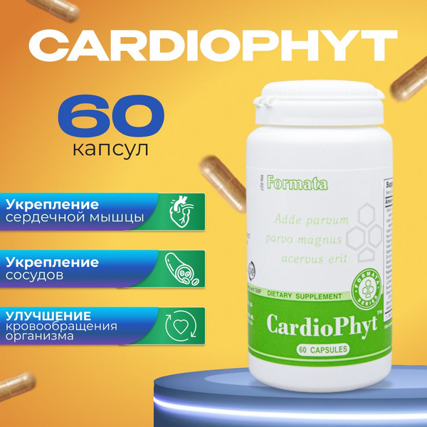 CardioPhyt Santegra: 60 Capsules for Heart &amp; Vascular Health