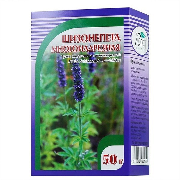 Schizonepeta Herbal Cough Remedy &amp; Immune Support (50g)