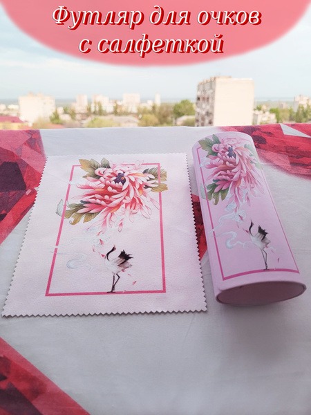 Corrective Glasses Case