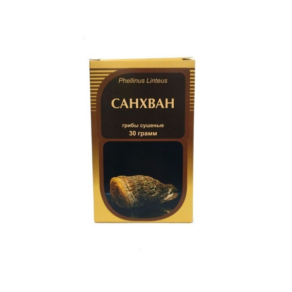 Dried Sanghwang Mushroom (30g) - Horst