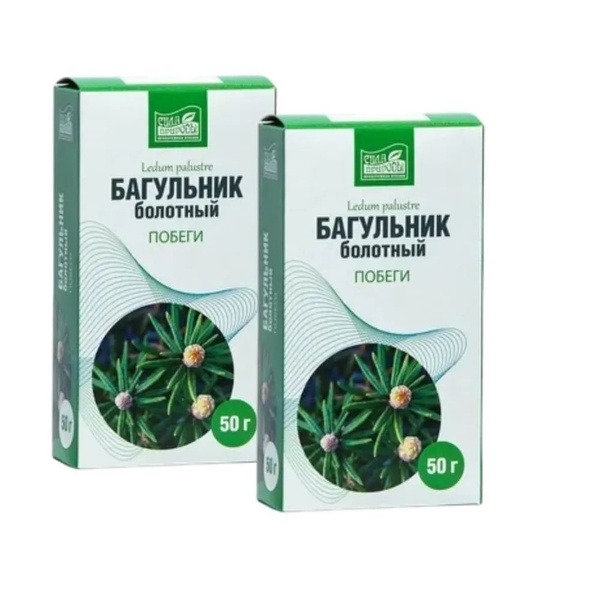 Bog Rosemary Herb (50g), 2-Pack: Nature's Power