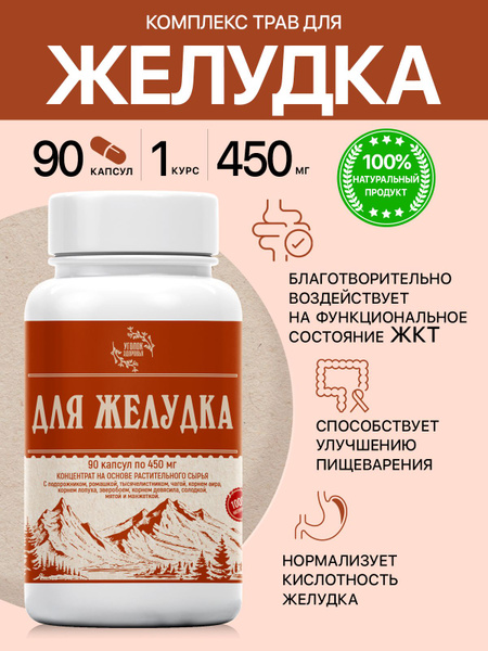 Stomach Support Capsules