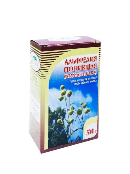 Alfredia Horst 50g Drooping