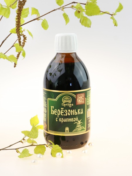 Chaga Mushroom & Nettle Extract - Promyod 300ml