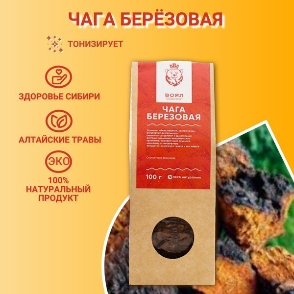Chaga Mushroom (100g) - Altai Mountains, Siberia