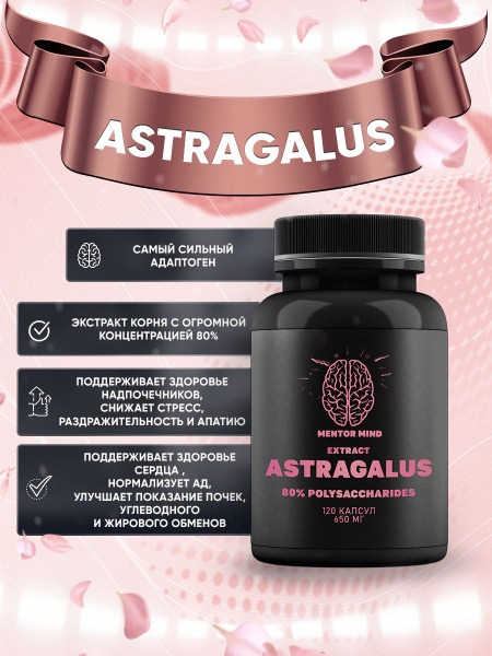 Astragalus Root Extract 80% - Powerful Adaptogen (120 Capsules, 650mg)
