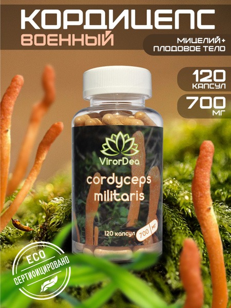 Cordyceps Militaris 700mg: Boost Immunity, Energy &amp; Libido (120 Capsules)