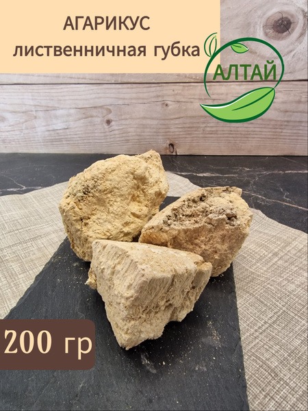 Larch Agaricus Mushroom (200g)