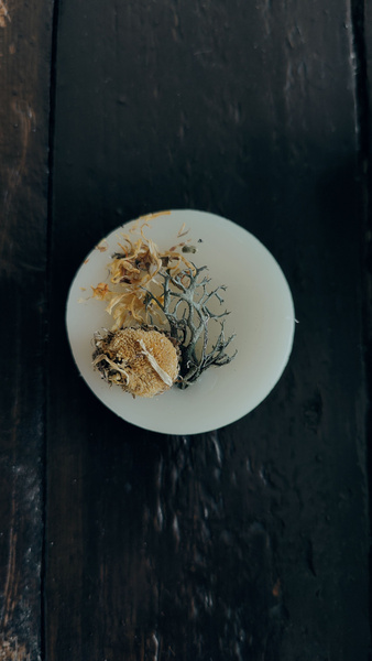 Laurel Hair Balm: Natural &amp; Unscented Solid Hair Conditioner