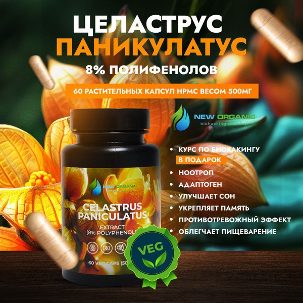 Celastrus 60 Capsules: Antioxidant, Calming Nootropic for Brain &amp; Memory