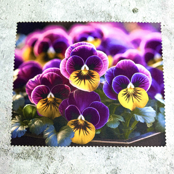 Microfiber Glasses Cleaning Cloth
