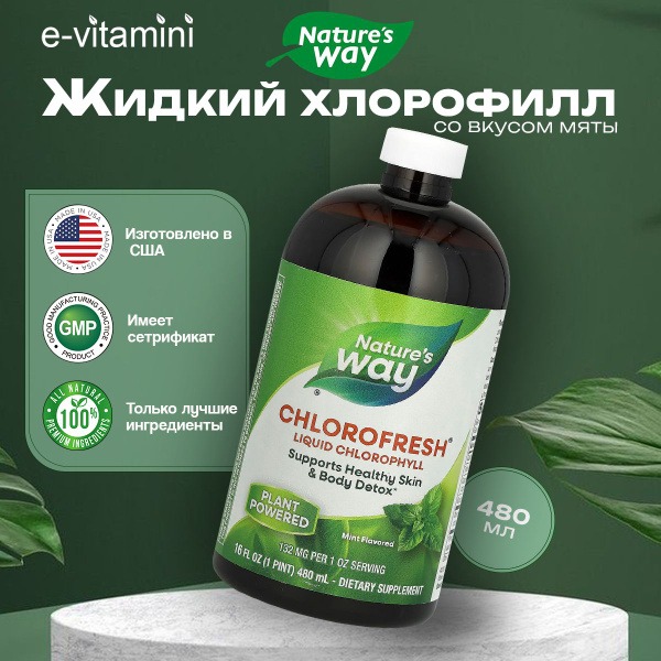 Nature's Way Liquid Chlorophyll Mint Flavor, 480ml