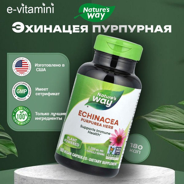 Nature's Way Echinacea Immune Support Supplement - 400mg, 180 Capsules