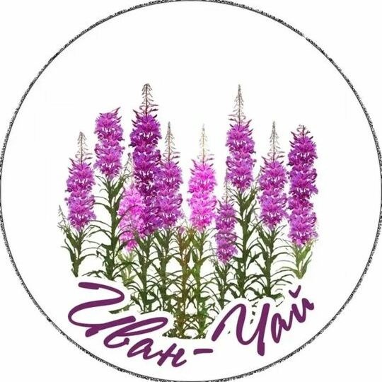 Fermented Ivan Chai Tea (50g)