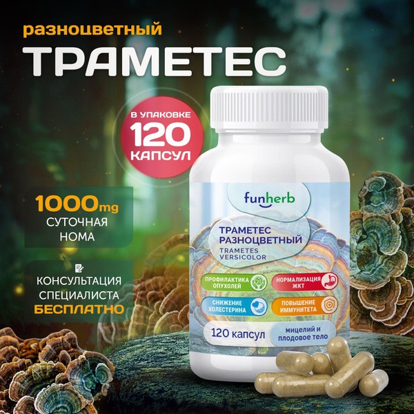 Trametes Versicolor: Boosting Longevity &amp; Immunity