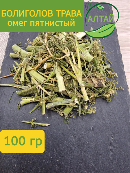Poison Hemlock Herb, 100g