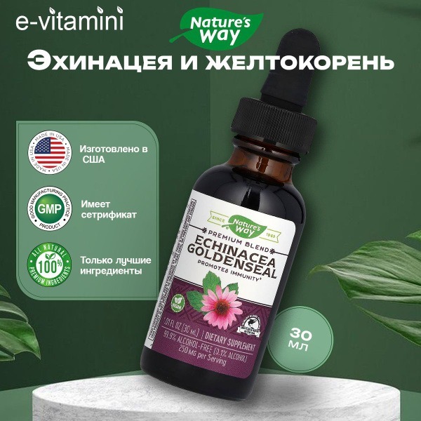 Nature's Way Echinacea &amp; Goldenseal Alcohol-Free Immune Support (30ml)