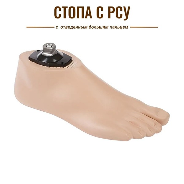 Right Foot Prosthetic Socket, Size 40-41, Art. AS10-C