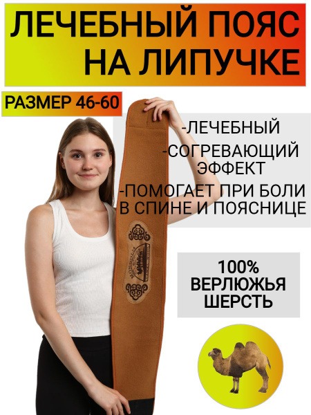 Back Support Belt with Camel Wool - Size 56