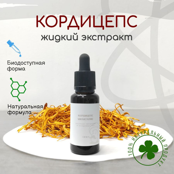 Cordyceps Militaris Liquid Extract (30ml)