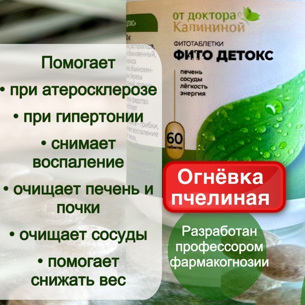 Bee Moth Detox: Natural Pest Control