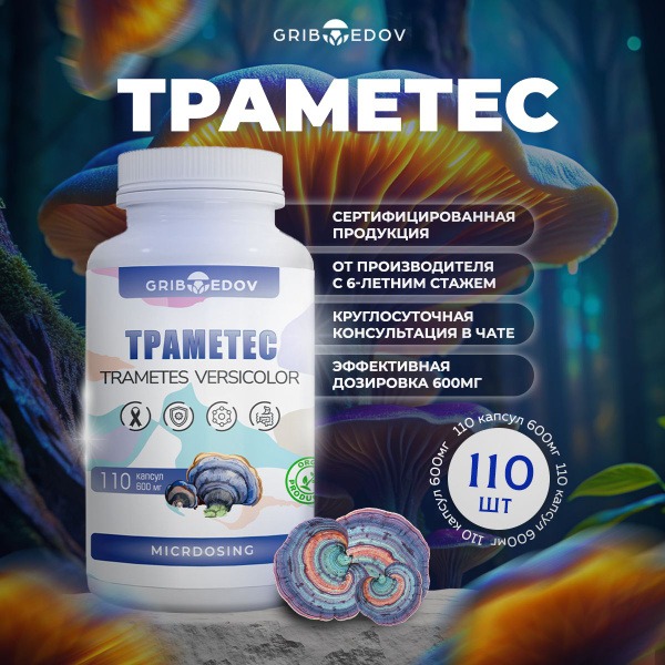 Trametes Versicolor Capsules: 110mg Dried Mushroom Extract