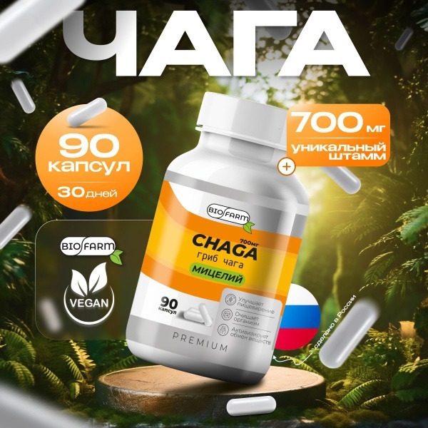 Chaga Mushroom Capsules 700mg - 90 Count