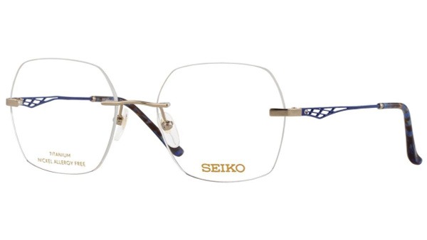 Seiko T7012-011 Titanium Watch Frame