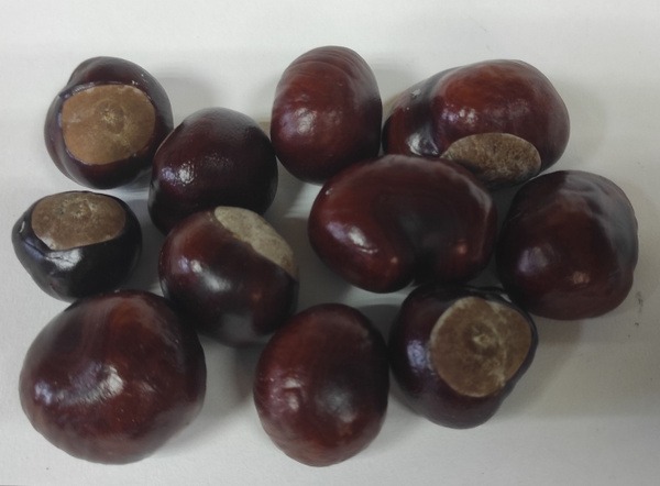 Horse Chestnut Seeds (200g)