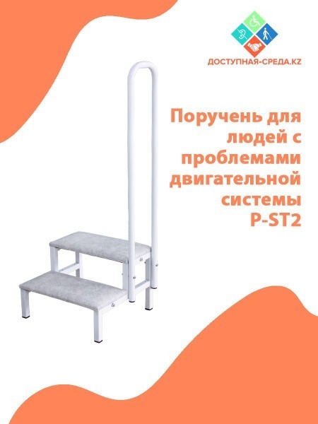 Mobility Support Rail with Step