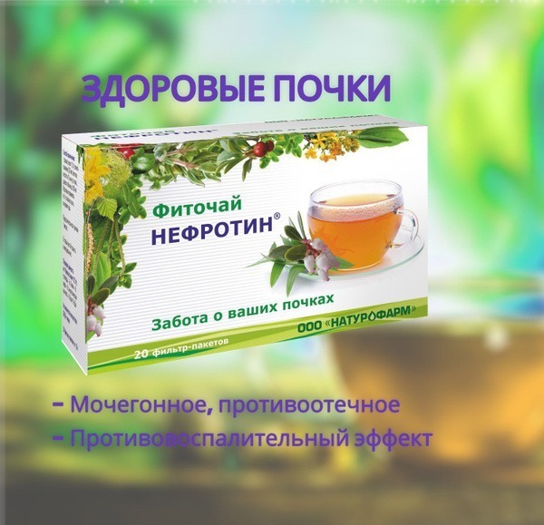 Nephrofit Herbal Tea: Cranberry, Birch, and Bearberry for Kidney Support