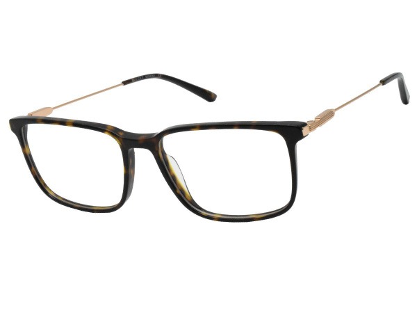 Men's Metal Eyeglass Frames BULGET BG6433M G21