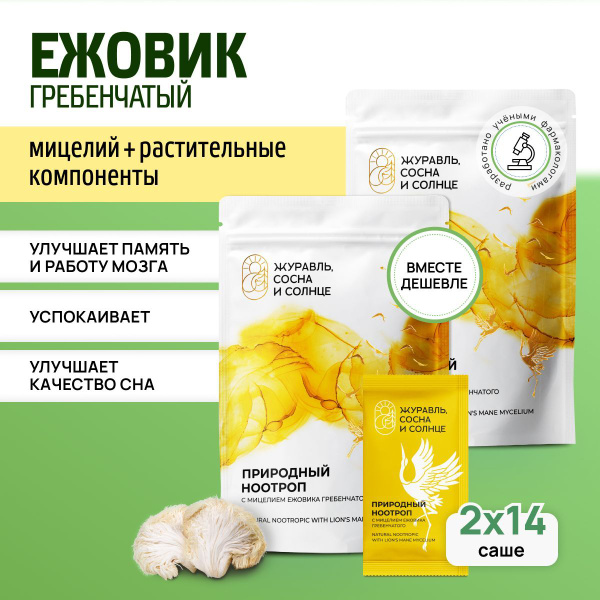 Lion's Mane Mushroom Mycelium Powder: Nootropic for Memory &amp; Calm - 28 Sachets