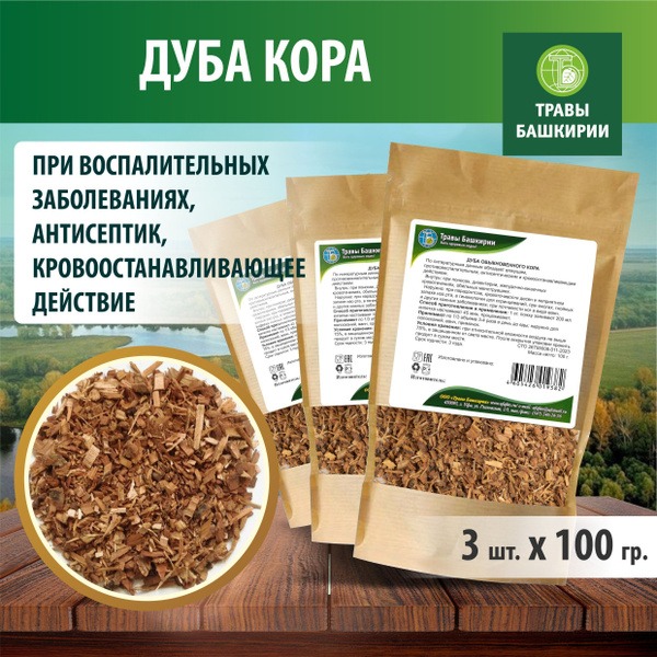 Common Oak Bark: 3-Pack