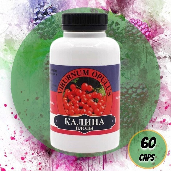 Viburnum Berry Extract: 60 Capsules