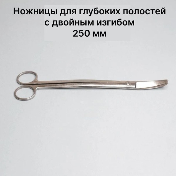 Double-Ended Curved Deep Cavity Scissors, 250mm