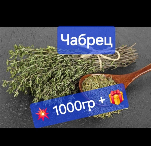 Thyme: The Ultimate Guide