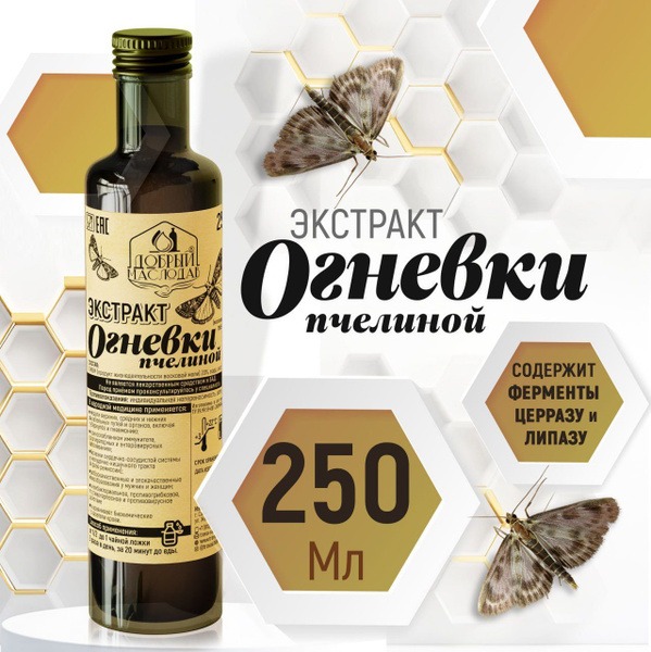 Bee Moth (Wax Moth) Extract Tincture - 250ml