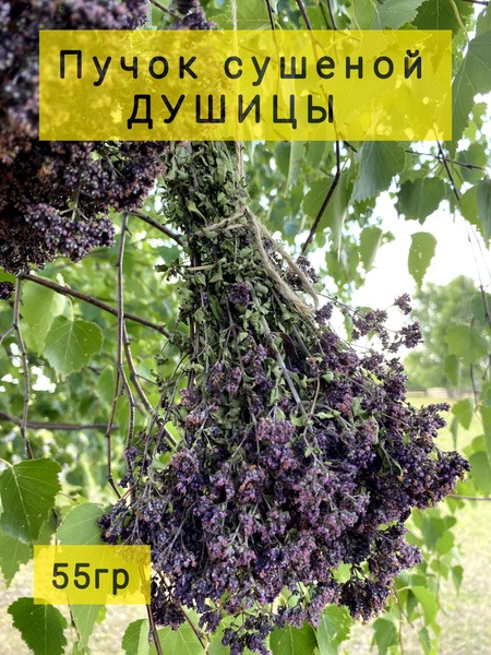 Oregano Herbal Tea Blend: Matryoshka Tea