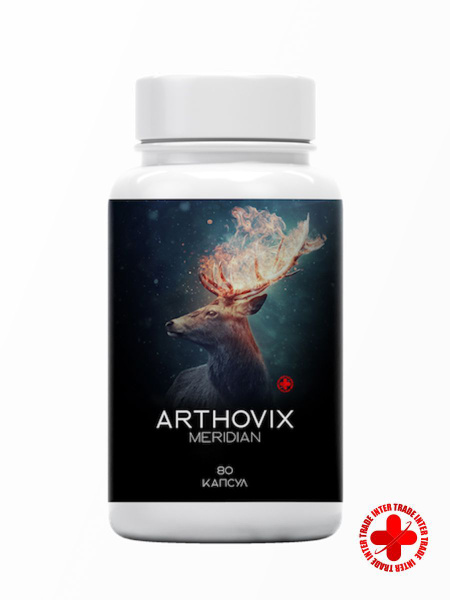 Arthovix Meridian: Joint Recovery Supplement (60 Capsules)